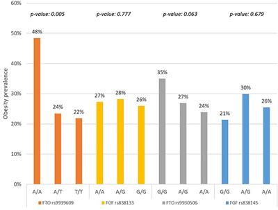 Dietary Patterns and Their Associations With the FTO and FGF21 Gene Variants Among Emirati Adults